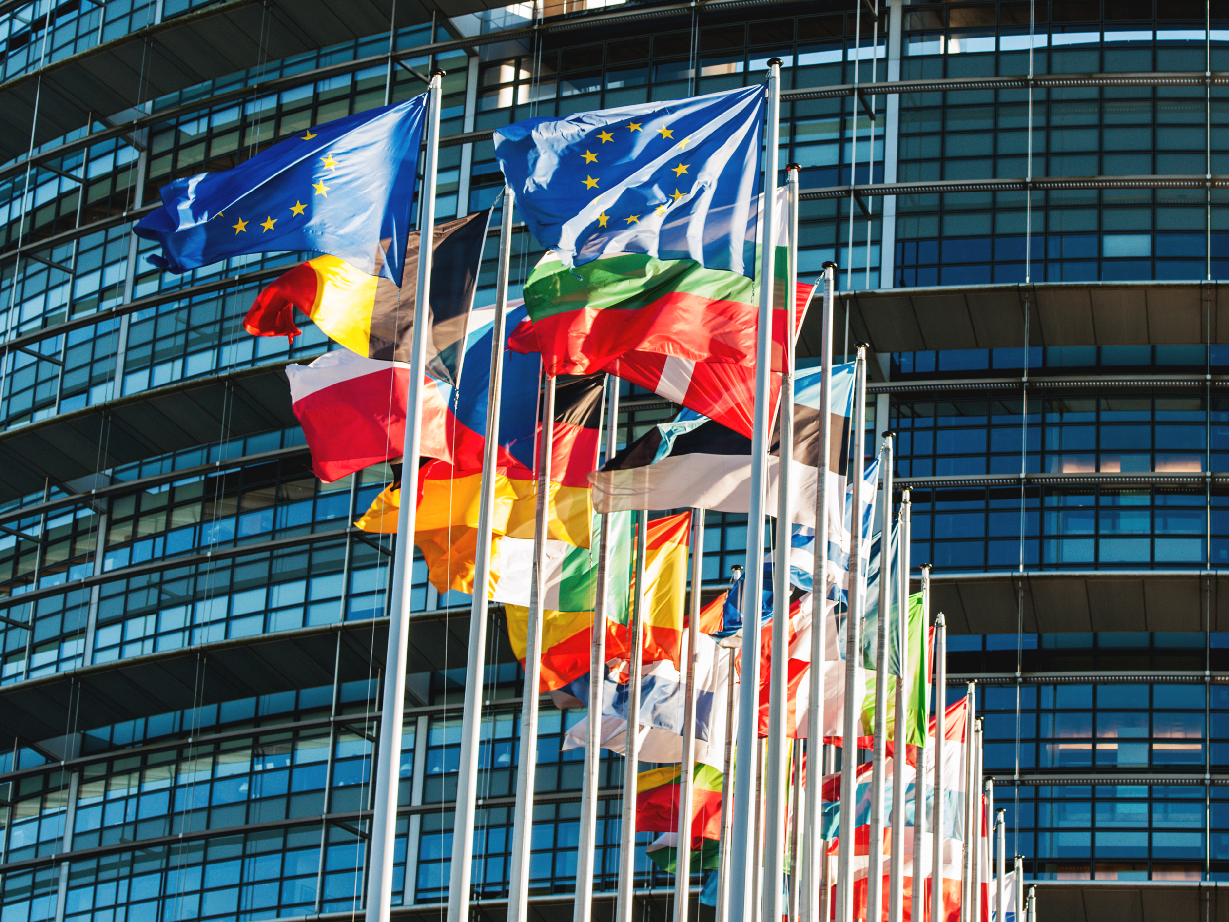 Blogartikel-EU im Blick.jpg